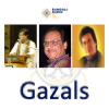 rr-gazal